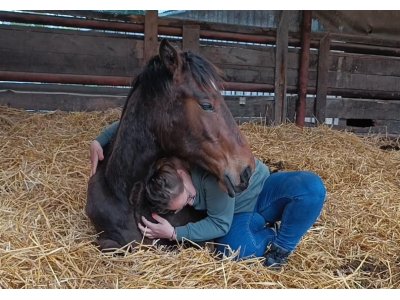 Screenshot_2025-05-19-11-45-13-46_92460851df6f172a4592fca41cc2d2e6