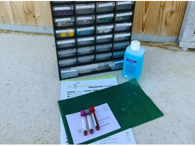 IMG_20250519_112853 IMG_20250519_112853