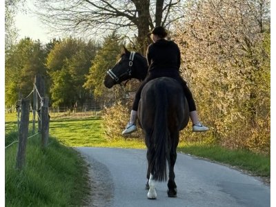 Screenshot_2025-04-12-19-34-41-63_6012fa4d4ddec268fc5c7112cbb265e7